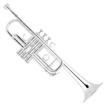 Bach C190SL229 Pro C Trumpet,