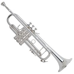 Bach 180S43 Pro Bb Trumpet