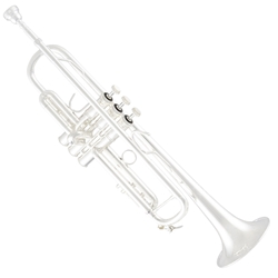 Bach LR180S43 Pro Bb Trumpet,